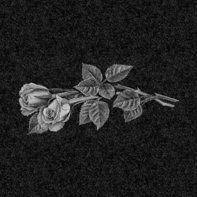 Цветы | Рисунок розы, ЦВ-023